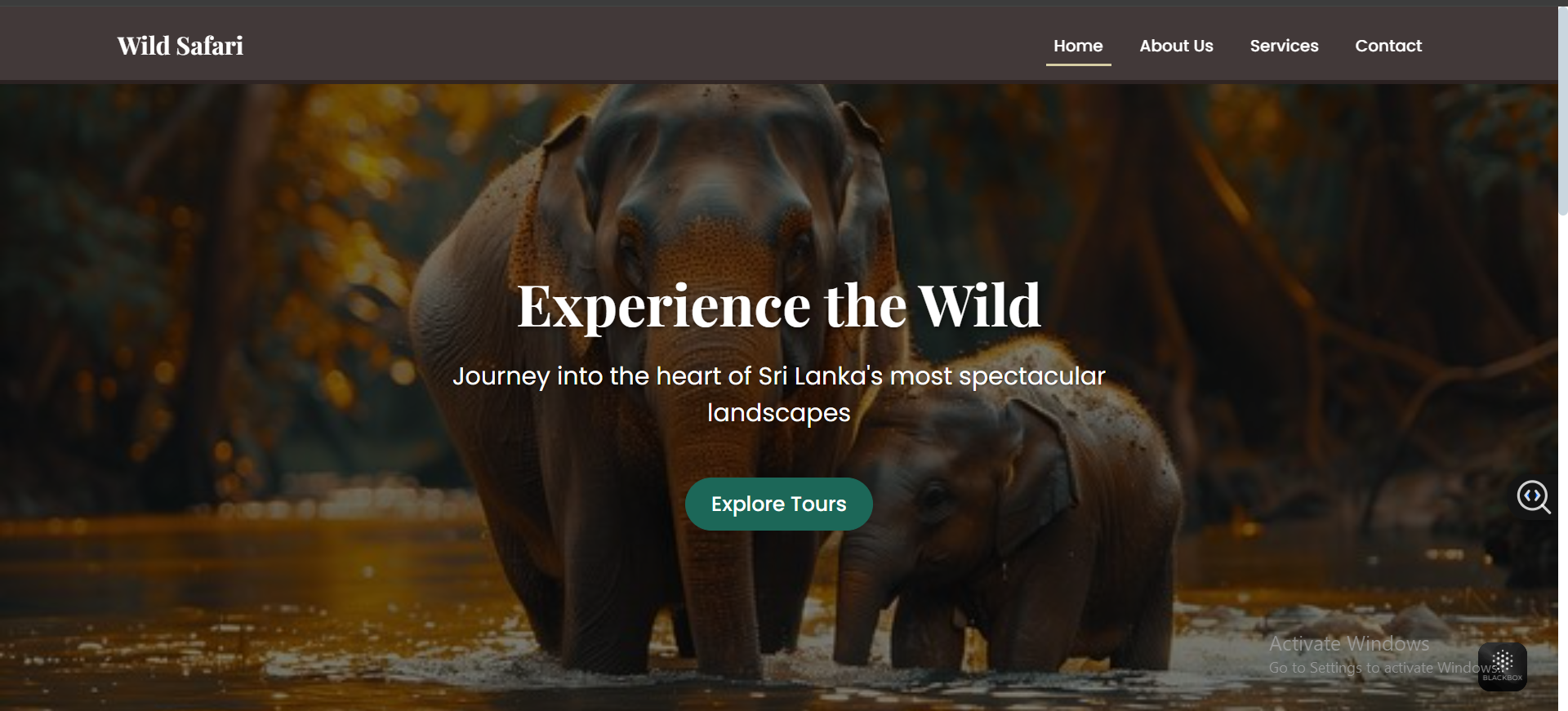 Safari Website